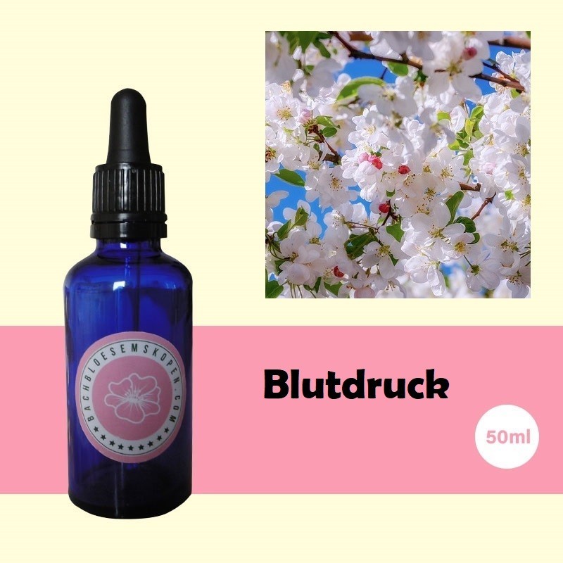 Blutdruck