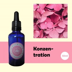 Konzentration